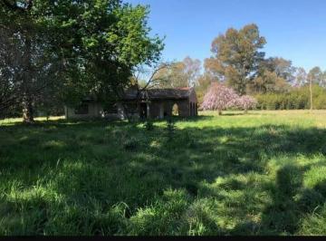 Campo · 100m² · Chacra - Canning (Ezeiza)