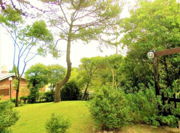 Terreno · 748m² · Gran Terreno 748 m² Parquizado y Arbolado
