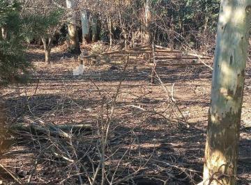 GNP-GNP-650_2 · Lote de Terreno en Chascomus