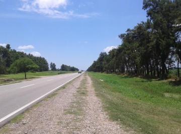 Campo · 4320000m² · Campo - Pichanal