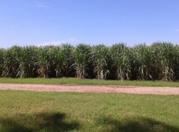 Campo · 10470000m² · Campo - Colonia Santa Rosa
