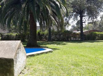 Terreno · 372m² · Terreno - Carumbe