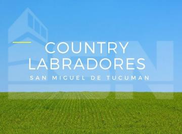 ISN-ISN-695_2 · Lote. | Country Labradores