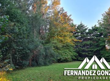 Terreno , Berazategui · Lote de Terreno de 892 m² Parquizado y Arbolado a m. de Autovía 2