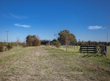 HOG-HOG-757_2 · Chacra 1 Ha - Las Juntas - San Antonio de Areco