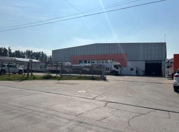 Depósito · 5000m² · Excelente Depósito en Alquiler en El Parque Industrial Pilar