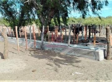 Campo · 150m² · 4 Ambientes · Greenwood Vende Campo Ganadero en San Rafael de 5522ha