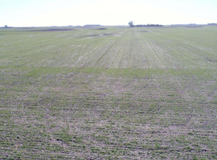 Campo · 330m²