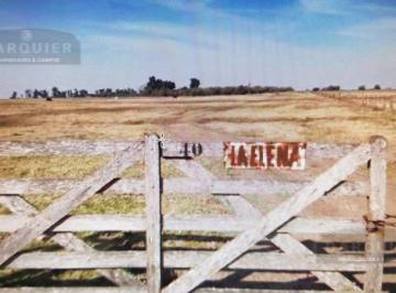 Campo · 610000m² · Campo - Roque Perez