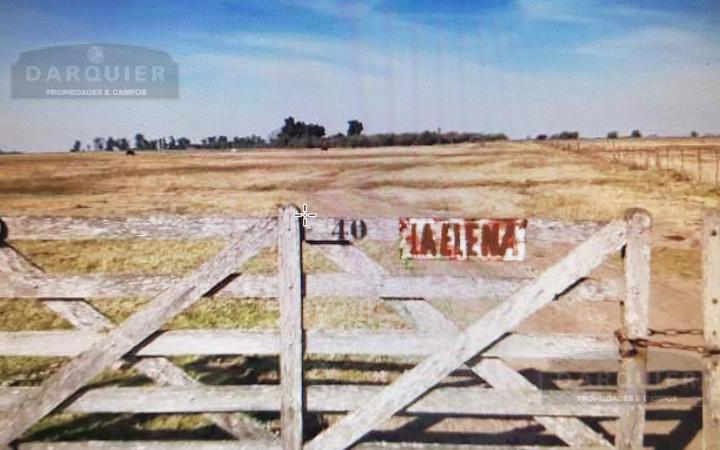 Campo · 61ha