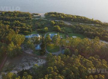 Terreno · 10257m² · Venta Solar Sobre Rio de La Plata, Exclusivo, Bosque de Pinos, Playa.