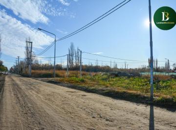 Terreno · 500m² · Obrero Argentino 650