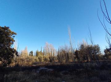 Terreno , Chacras de Coria · Lote en Chacras de Coria Calle Edmundo Correas