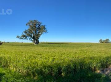 Campo · 100000m² · Campo con Visto Al Rio de La Plata, Buena Tierra Productiva.