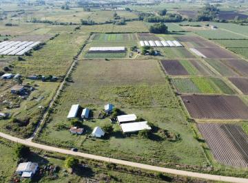 Campo · 37000m² · 2 Dormitorios · Chacra - Otras