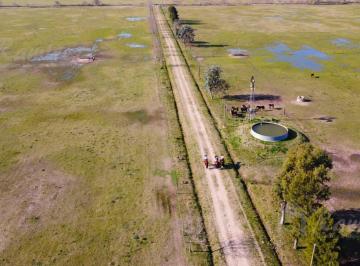 Campo · 300m² · Campo Haras 48 Ha a 1500 m. de Ruta 6 - Marcos Paz