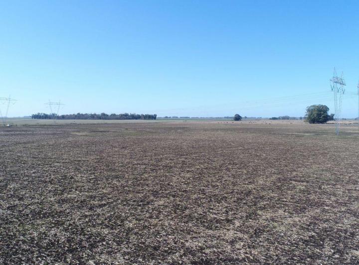 Campo · 450m²