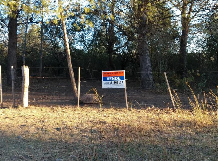 Terreno · 46957m²