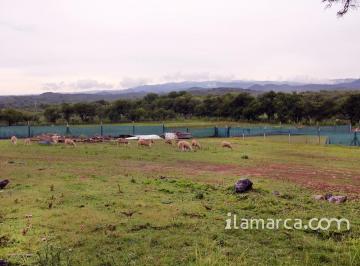 Terreno · 80000m² · Campo con Animales Jose de La Quintana 2 Casa Equipadas
