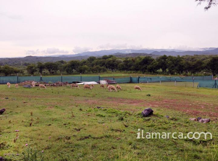 Terreno · 80000m²