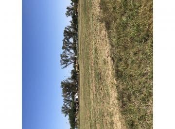 Terreno · 650m² · Terreno Funes Norte