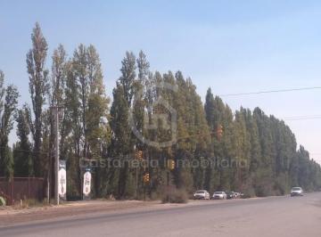 Terreno , Cipolletti · 2 Fracciones de Tierra Sobre Ruta 22 Esquina Julio Dante Salto.