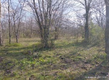 Terreno , Exaltación de la Cruz · Terreno Lote en Venta Ubicado en Exaltación de La Cruz, G. B. a. Zona Norte