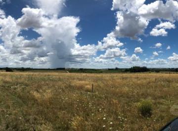 Campo · 5000m² · Campo - José Ignacio