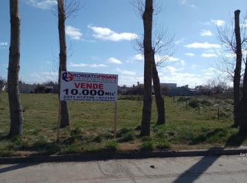 Terreno · 10000m² · Terreno - General Belgrano