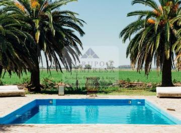 Campo · 226ha · Venta. Campo. Provincia de Buenos Aires. Ranchos