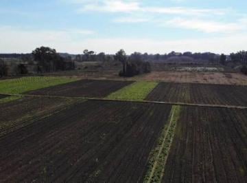 Campo · 100000m² · Venta Campo Pilar