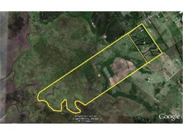 Campo · 110ha · Chacra. Uruguay. Laguna del Sauce