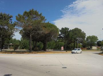 DIT-DIT-5439_2 · Lote. | Av San Bernardo
