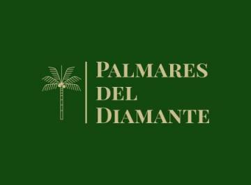Terreno · 1100m² · Club de Campo Palmares del Diamante - Las Paredes