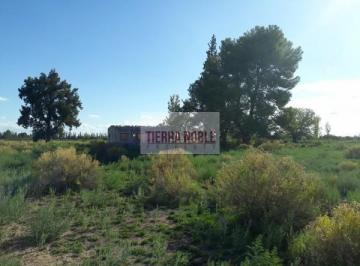Quinta vacacional · 120000m² · Finca 12 Ha en Blanco