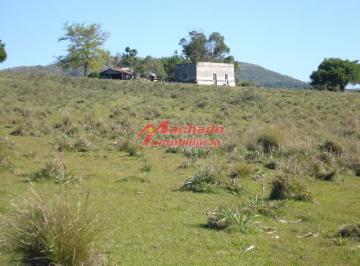 Foto1 · Campo 96 Has en Carape Cuenta con Costa de Arroyo.