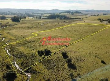 Foto1 · Chacra en Venta de 5 Ha y Media en Pueblo Eden