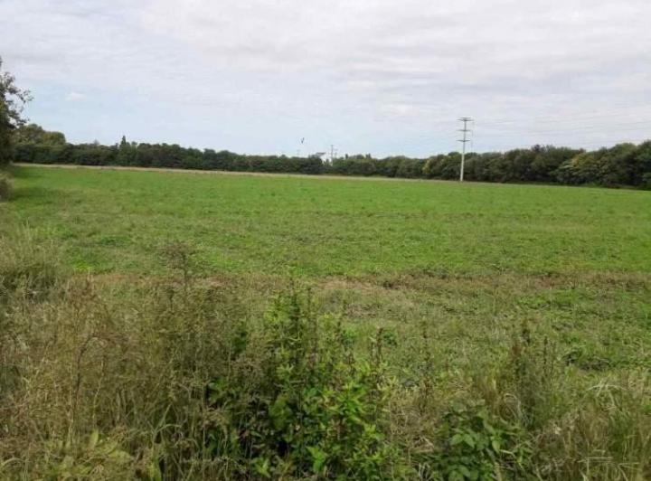 Terreno · 70900m²