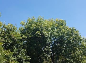 Terreno , Presidente Perón · Hermoso Lote en Barrio Parque Las Naciones