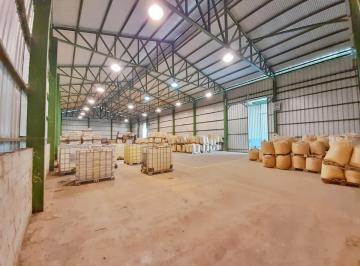 Bodega-Galpón · 1350m² · Galpón - Correa