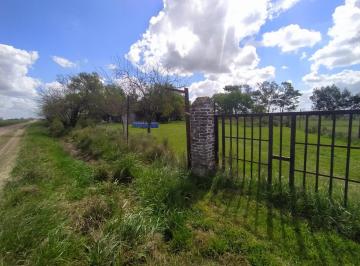 Terreno · 3382m² · Los Pinos, Lote Inmenso, Junto Al Country Golf La Carolina.