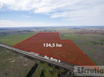 Campo · 1245200m² · Campo - General Rodriguez