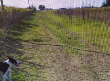 Campo , Mercedes · Gran Lote de 15000 m² de Superficie Total en Venta en Mercedes! Venta Directa