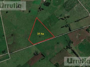 Campo · 310000m² · Campo - General Las Heras
