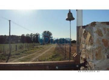 Terreno · 10000m² · 10000 m²