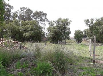 Terreno 400m² Venta  · Lote Calle 123 Entre 50 y 48 - Necochea - Escucha Oferta