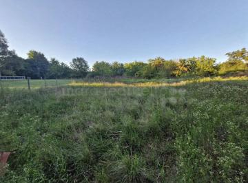 MRE-MRE-1751_2 · Lote de 3450 m² en Chascomus con Palmeras y Arboles en Barrio de Quintas