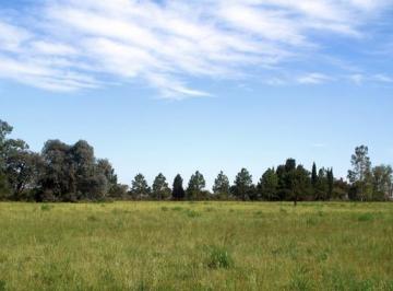Terreno · 370000m² · Terreno - Cuartel V