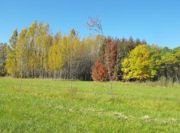 Terreno · 2000m² · Terreno - Parada Robles