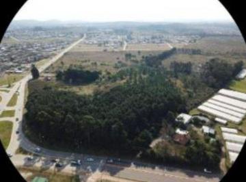 Terreno · 56100m² - Fortuna Inmobiliaria · Crowdfunding Doña Sol, Uruguay - Uyi0001